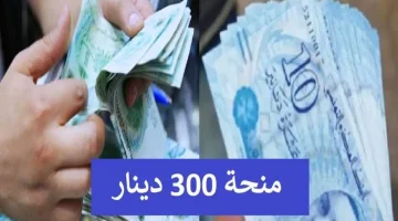 الدفعة الجديدة نزلت؟ .. الشؤون الاجتماعية تُعلن آخر مستجدات عبر رابط منحة 300 دينار التونسية 2024 بخطوات التسجيل وأهم الشروط