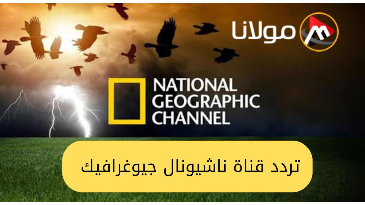 استقبل تردد قناة ناشيونال جيوغرافيك 2024 على الأقمار الصناعية واستمتع ببرامج وثائقية ومغامرات ممتعة بجودة فائقة