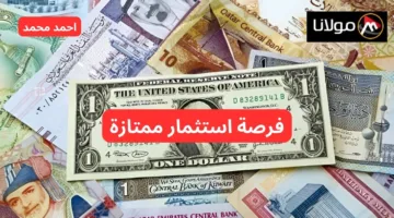 “تذبذب ضخم هسه”.. 100 دولار كم دينار عراقي؟.. بكم سعر الدولار مقابل الدينار العراقي اليوم الأحد؟