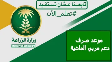 وزارة البيئة والمياه والزراعة توضح موعد صرف دعم المواشي شهر نوفمبر 2024 والاستعلام عن الدعم