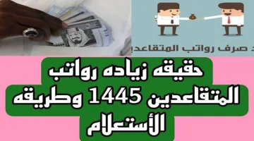 أمر ملكي بزيادة جديدة في رواتب الموظفين في المملكة 1446 بقيمة 500 ريال.. وزارة المالية توضح