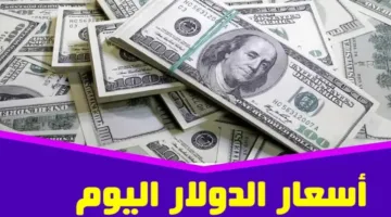 “الأخضر طالع ولا نازل“ مفاجأة أسعار الدولار اليوم  مقابل الجنيه في البنوك المصرية وأسعار العملات