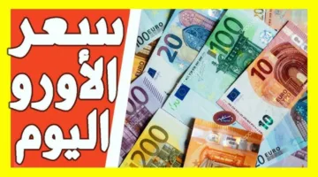 “شحال الأورو اليوم“ سعر اليورو اليوم الأثنين 14 أكتوبر في البنوك الجزائرية.. كم سعر صرف الين الياباني