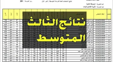 “استعلم هسه“ لينك نتائج اعتراضات الثالث متوسط 2024 بالرقم الامتحاني موقع نتائجنا results.mlazemna.com