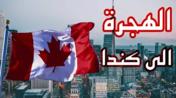 “الهجرة العشوائية لكندا“ LINK التسجيل في اللوتري الكندي 2025 والشروط المطلوبة موقع canada.ca