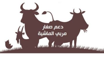 الاستعلام عن دعم صغار مربي المواشي بالسعودية 1446 وشروط الاستحقاق