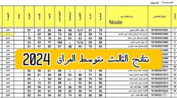 حملها PDF.. نتائج الثالث متوسط 2024 الدور الثالث جميع المحافظات عبر موقع “نتائجنا”