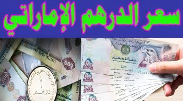 عامل كـــام.. سعر الدرهم الاماراتي مقابل الجنيه المصري اليوم في البنوك والصرافة