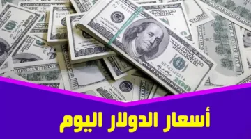 رايح على فين يا اخضر.. سعر الدولار مقابل الجنيه المصري اليوم الأحد 13 اكتوبر 2024