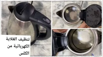 هترجـــع جديـــدة لااانـــج.. طريقة عبقرية لتنظيف الغلاية الكهربائية من الصدأ والاتساخات والترسبات والجير هتشوفي وشك فيه