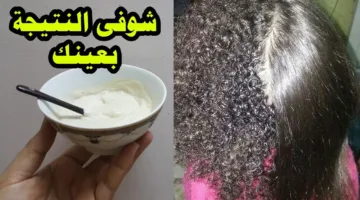 شعرك هيبقا ناعم.. اقوى وصفة الكيراتين الطبيعي لفرد الشعر وتنعيمه بدون مكواه وبدون استخدام مواد كيميائية ضارة