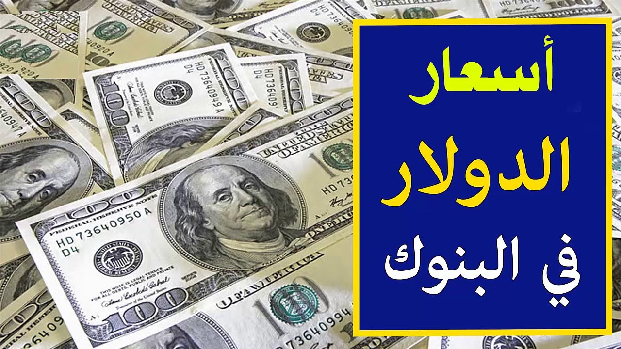 رسميًا حالة من الاستقرار في عملية البيع والشراء…استقرار سعر الدولار أمام الجنيه اليوم الجمعة 4 أكتوبر