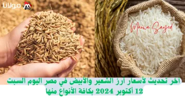 “بكم سعر الحبة العريضة النهاردة” .. آخر تحديث لأسعار أرز الشعير والأبيض في مصر اليوم السبت 12 أكتوبر 2024 بكافة الأنواع منها