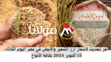 “بكام سعر طن الحبة العريضة النهاردة” .. تعرف على آخر تحديث لأسعار أرز الشعير والأبيض في مصر اليوم الثلاثاء 15 أكتوبر 2024 بكافة الأنواع