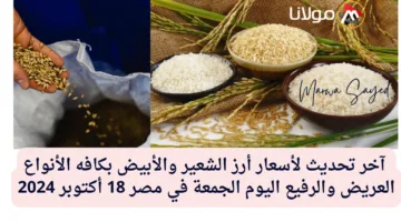 “هبوط جديد في سعر الطن” .. آخر تحديث لأسعار أرز الشعير والأبيض بكافه الأنواع العريض والرفيع اليوم الجمعة في مصر 18 أكتوبر 2024