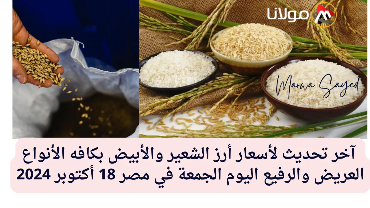 “هبوط جديد في سعر الطن” .. آخر تحديث لأسعار أرز الشعير والأبيض بكافه الأنواع العريض والرفيع اليوم الجمعة في مصر 18 أكتوبر 2024