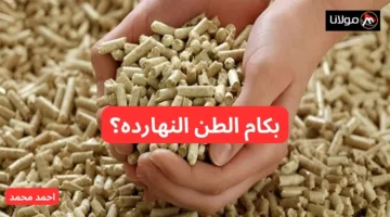 “بكام الطن يا حج؟”.. أسعار الأعلاف اليوم الاثنين 14-10-2024.. الذرة بكام النهارده؟