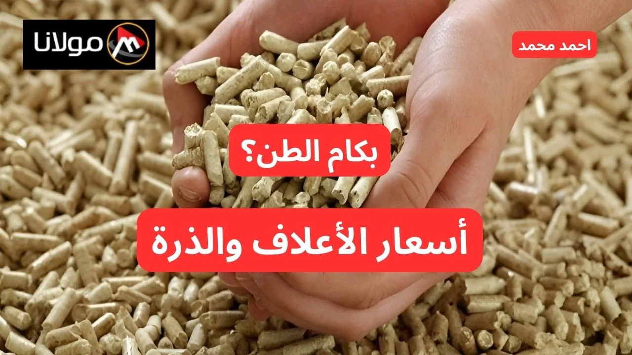 “بكام يحج؟”.. أسعار الأعلاف اليوم الخميس 17-10-2024 تفاجي الجميع.. أسعار الذرة اليوم