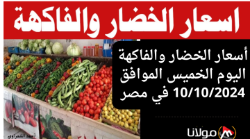 “ارتفاع مفاجئ”.. أسعار الخضار والفاكهة اليوم الخميس 10/10/2024 في مصر سعر