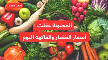 “المجنونه عقلت النهارده”.. سعر الخضار اليوم السبت 12-10-2024.. بكم أسعار الفاكهه اليوم؟