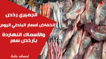 الجمبري والبلطي رخصوا النهاردة… أسعار السمك والجمبري اليوم 17 أكتوبر بأقل الأسعار