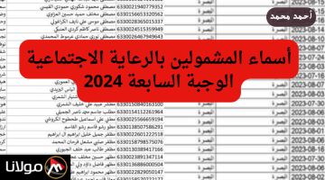 هسه اعرف التفاصيل.. أسماء المشمولين بالرعاية الاجتماعية الوجبة السابعة الأخيرة 2024