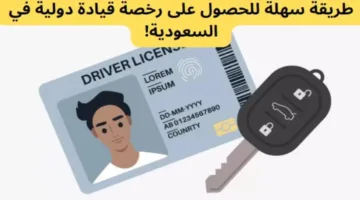 “سوق براحتك في أي بلد” .. خطوات استخراج رخصة قيادة دولية في المملكة العربية السعودية عبر أبشر 1446 (رابط التقديم absher.sa)