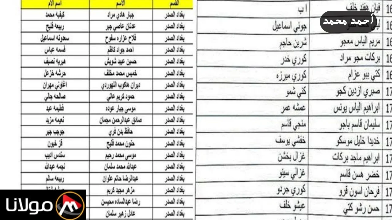 “حملها pdf”.. رابط كشوفات اسماء الرعاية الاجتماعية الوجبة السابعة وخطوات الاستعلام بكل سهولة وأبرز التفاصيل