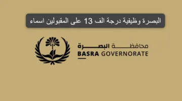 الموقع الرسمى لديوان البصرة يكشف خطوات الاستعلام عن اسماء المقبولين في 13 الف درجة وظيفية البصرة 2024 وشروط التقديم المطلوبة