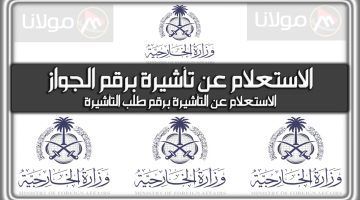 “المديرية العامة للجوزات السعودية توضح” رابط الاستعلام عن تأشيرة السعودية برقم الجواز 2024 بالخطوات والتفصيل