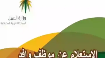 خطوات الاستعلام عن وافد من خلال رقم الجواز وكيفية الاستفسار عن رقم حدود الوافد 1446