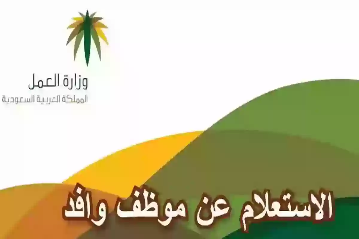 خطوات الاستعلام عن وافد من خلال رقم الجواز وكيفية الاستفسار عن رقم حدود الوافد 1446