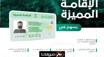 “لتعزيز اقتصاد البلاد” مزايا الاقامة المميزة في السعودية واهم الشروط اللازمة للحصول عليها pr.gov.sa