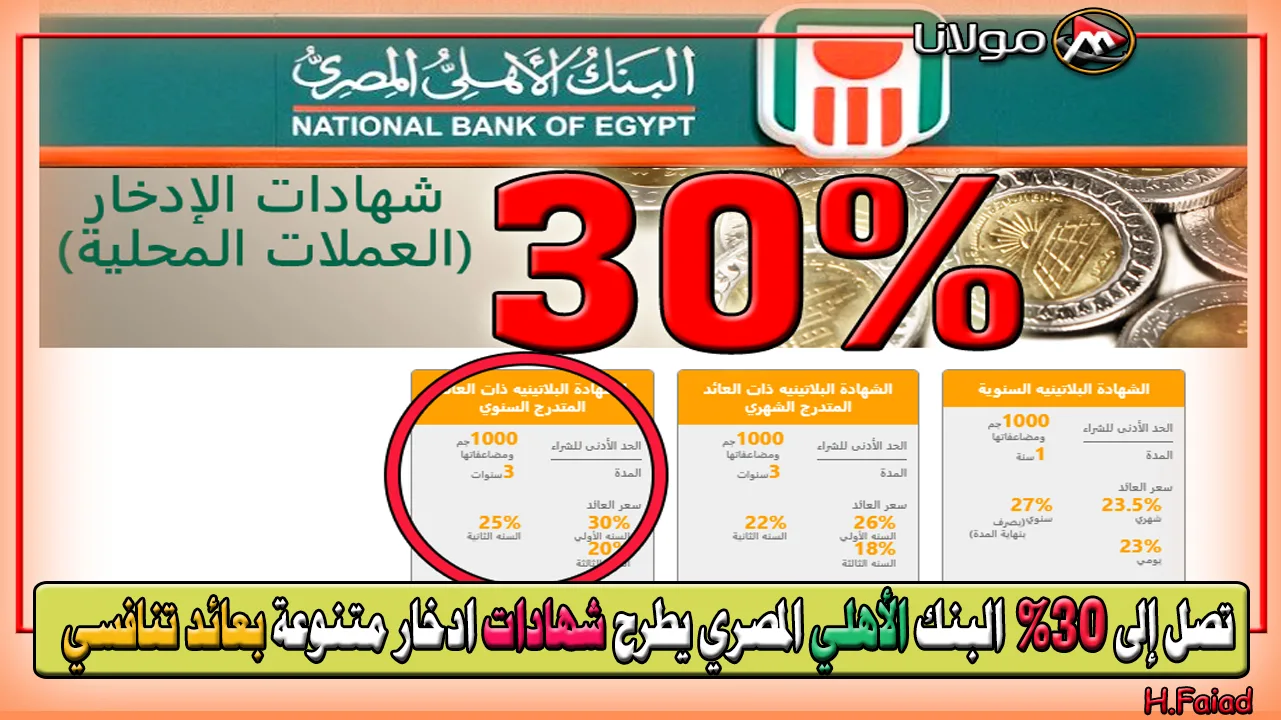 اشتريها بسرعة واعرف مميزاتها.. تصل إلى 30% البنك الأهلي المصري يطرح شهادات ادخار متنوعة بعائد تنافسي