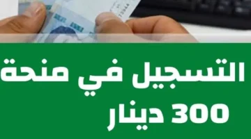 آخر المستجدات .. الشؤون الأجتماعية تُعلن خطوات التسجيل في منحة 300 دينار تونس 2024 بشروط محددة