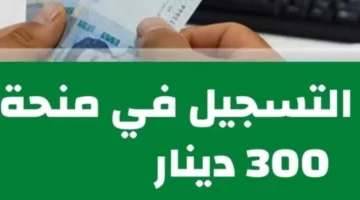 فرصتك لراتب شهري .. التسجيل في منحة 300 دينار تونس 2024 وزارة الشؤون الاجتماعية ” قدم الآن social.gov.tn “