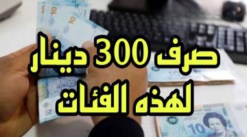 “أحصل علي 300 دينار“.. التسجيل في منحة تونس 2024 عبر وزارة الشؤون الاجتماعية social.gov.tn