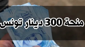 “احصل على المنحة فوراً”.. رابط التسجيل في منحة 300 دينار تونس 2024 من خلال الموقع الرسمي social.gov.tn