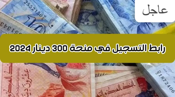 “سارع بالتسجيل برابط مباشــر”.. LINK التسجيل في منحة 300 دينار تونس 2024 عبر وزارة الشؤون الاجتماعية social.gov.tn