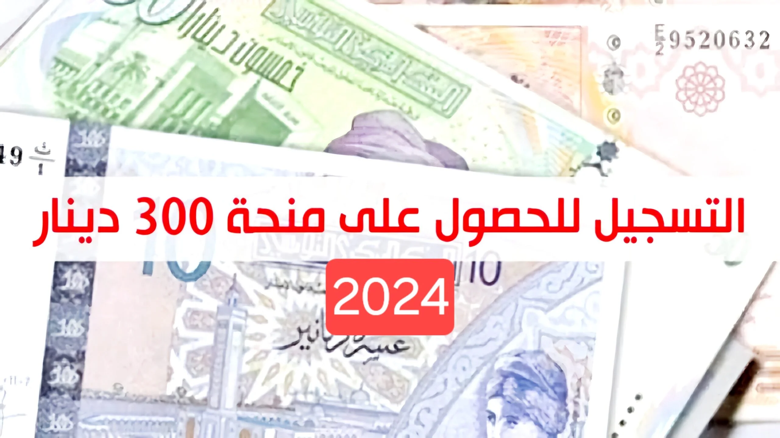 طريقة التسجيل في منحة 300 دينار تونس 2024 وأهم الشروط الواجب توافرها