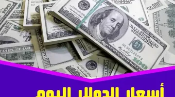 الدولار بكام النهارده.. تعرف على سعر الدولار  اليوم السبت 12 اكتوبر 2024