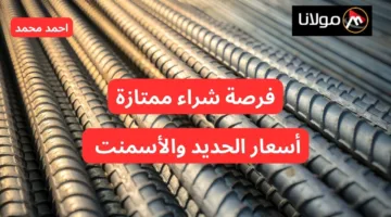 “الحديد والأسمنت رخصو”.. انخفاض سعر الحديد والأسمنت اليوم الثلاثاء 15 أكتوبر 2024!