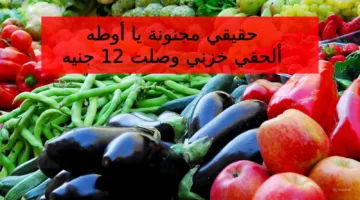 بقت بكام الأوطة المجنونة النهاردة في السوق… ألحقي خزني قائمة أسعار الخضار والفواكه اليوم الأربعاء 16-10-2024 في الأسواق