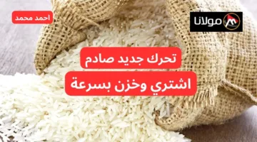 “تحرك جديد يصدم الجميع”.. تحرك سعر طن الأرز الشعير اليوم الأحد 13-10-2024 تخالف توقعات الكل