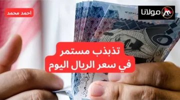 “طالع نازل”.. تذبذب في سعر الريال السعودي مقابل الجنيه المصري اليوم الثلاثاء 15-10-2024.. هتفك بكام؟