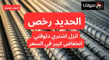 “انخفاض لم يسبق له مثيل”.. تراجع سعر الحديد اليوم 14 أكتوبر 2024.. كم أسعار الأسمنت اليوم؟