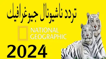 “استقبلها الان بأقوى إشارة”.. تردد قناة ناشيونال جيوغرافيك الجديد 2024 على النايل سات وعرب سات