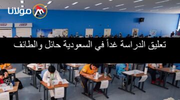 “رسمياً” تعليق الدراسة غداً في السعودية في حائل والطائف الأحد 27 أكتوبر وتحويلها عن بعد