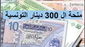 رابط التسجيل في منحة 300 دينار تونسي بالخطوات والمستندات المطلوبة لصرف المنحة