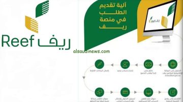 شرح خطوات الحصول علي الدعم الريفي للعاطلين عن العمل أون لاين 1446 وأهم الرشروط